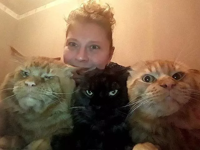 Picdump 435 - #24 