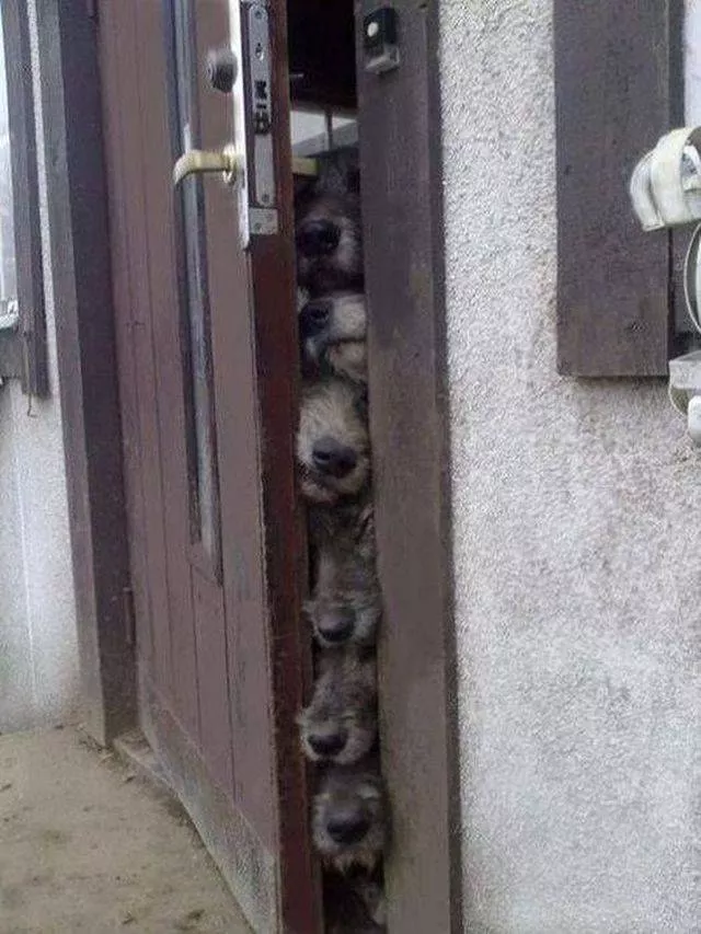 Picdump 435 - #45 
