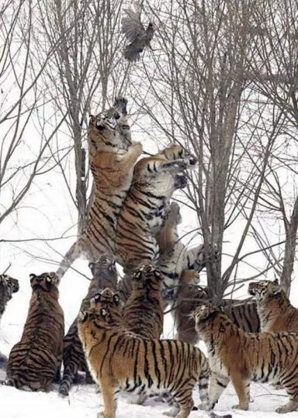 Picdump 73 - #15 