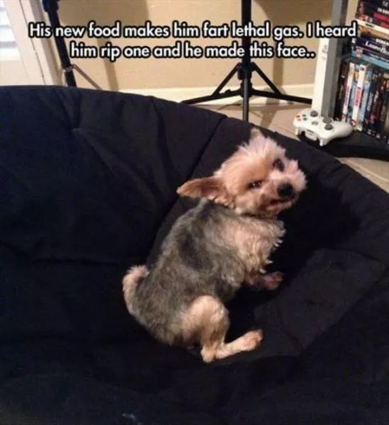 Picdump 73 - #23 