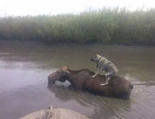 Picdump 73 - #3 
