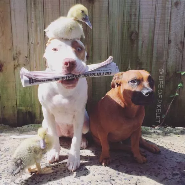 Picdump 73 - #33 