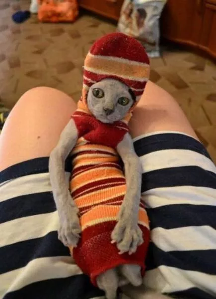 Picdump 73 - #39 