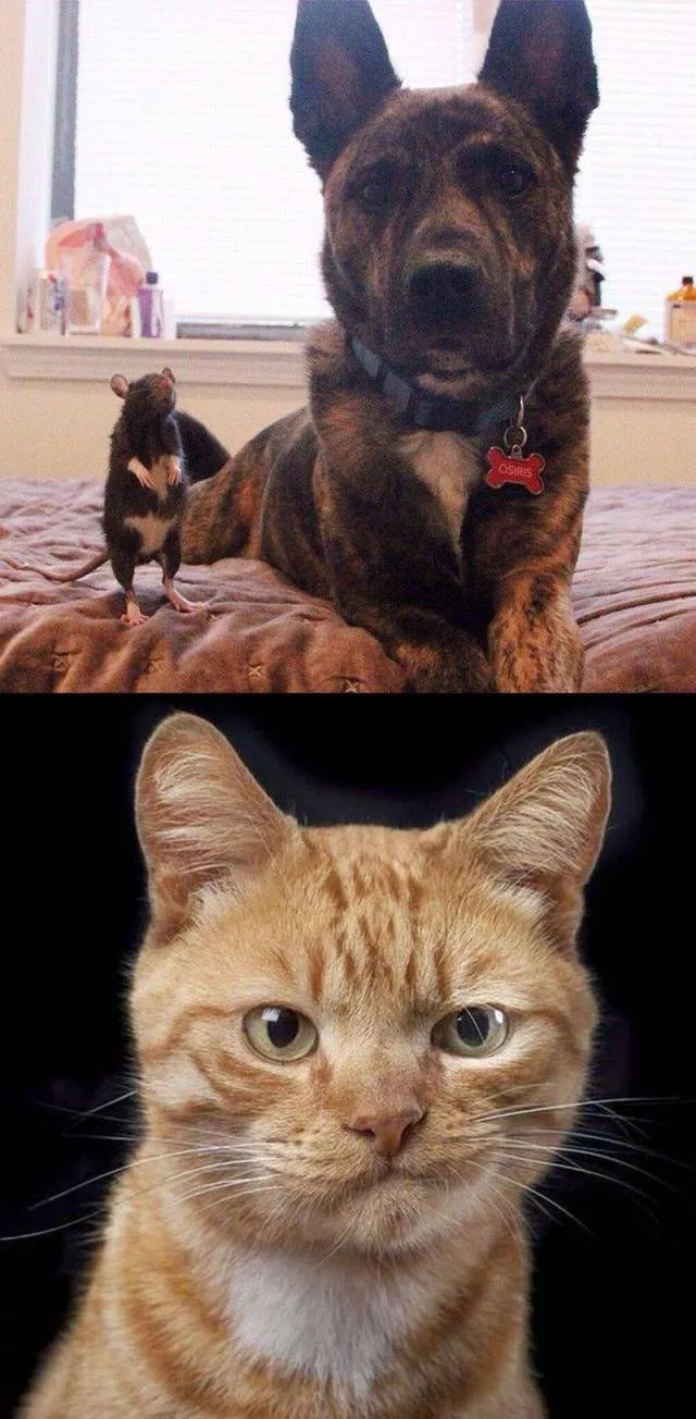 Picdump 73 - #42 