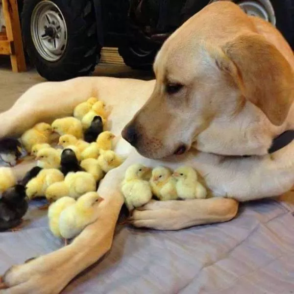 Picdump 73 - #6 