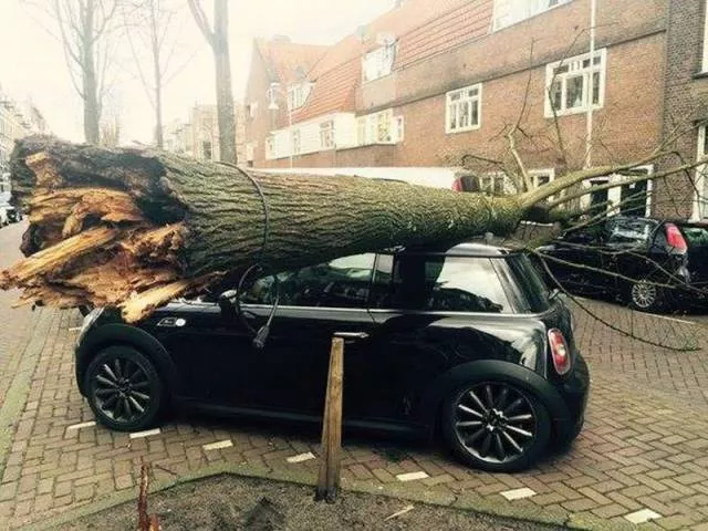 Picdump 73 - #8 