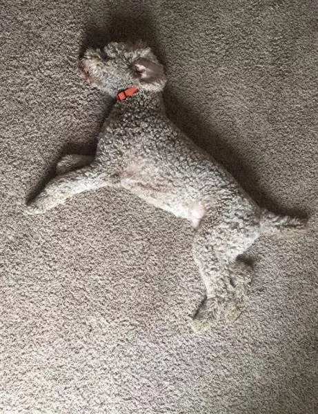 Without explanation - #29 