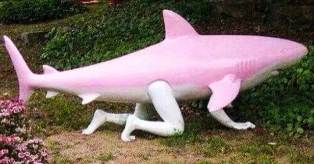 Without explanation - #33 