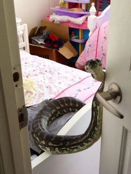Dangers and safety in australia - #1 