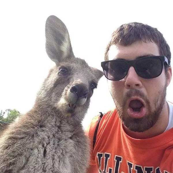 Dangers and safety in australia - #24 