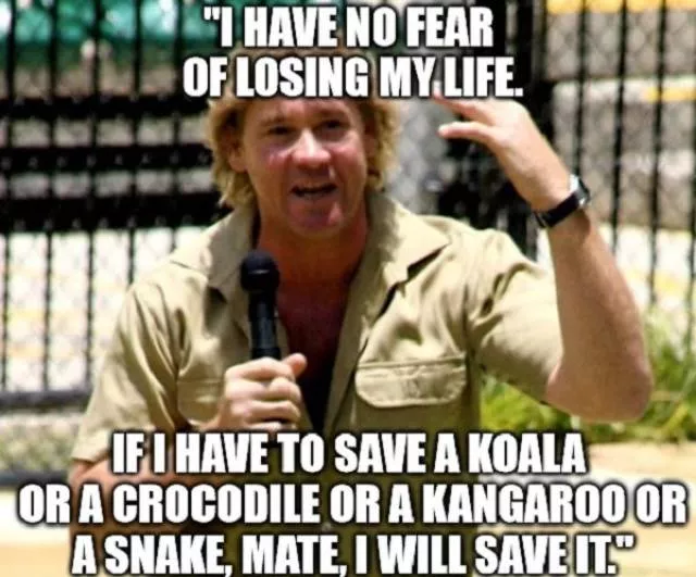 Dangers and safety in australia - #26 