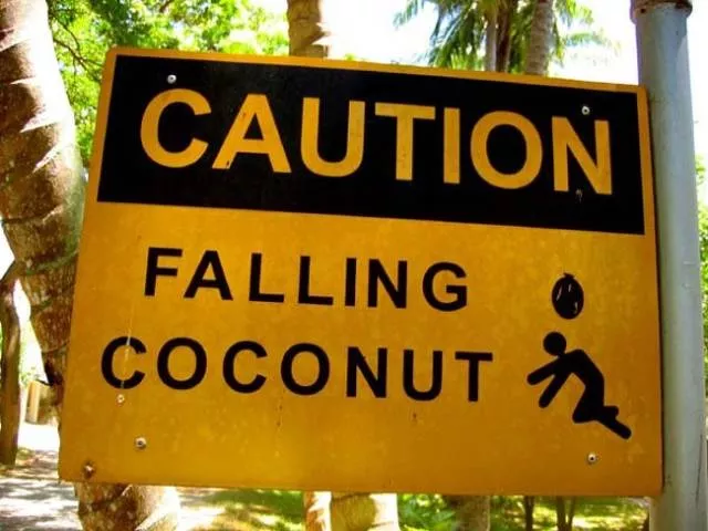 Dangers et securite en australie - #3 
