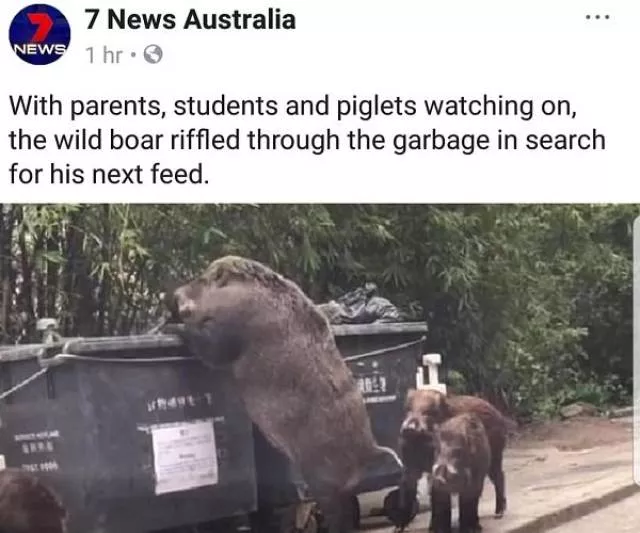 Dangers et securite en australie - #39 