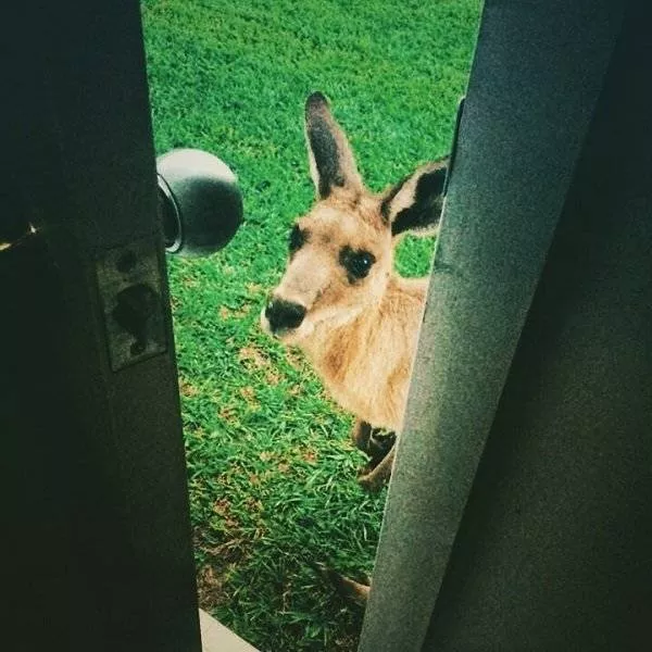 Dangers and safety in australia - #44 
