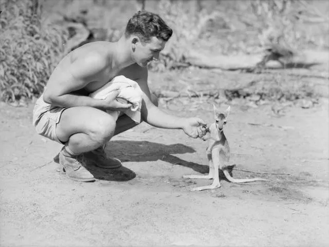 Les photos historiques les plus excitantes - #25 