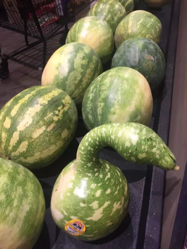 Picdump 437 - #42 