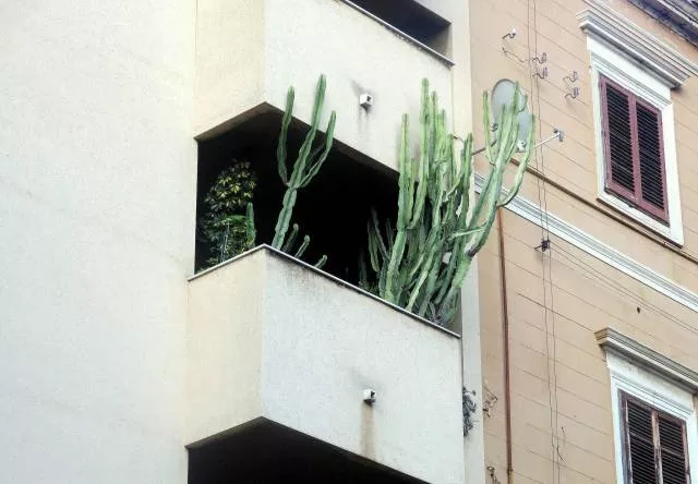 Picdump 438 - #29 