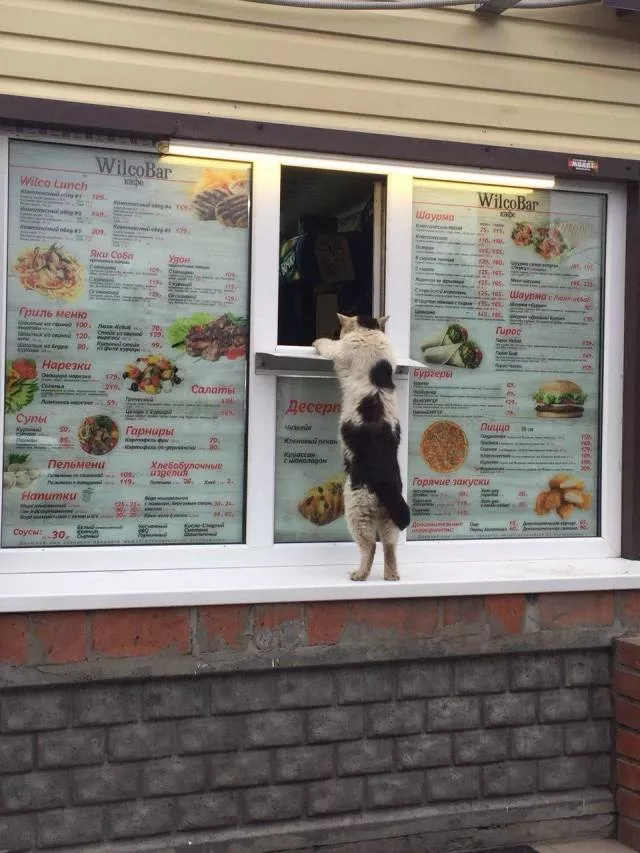 Picdump 438 - #33 