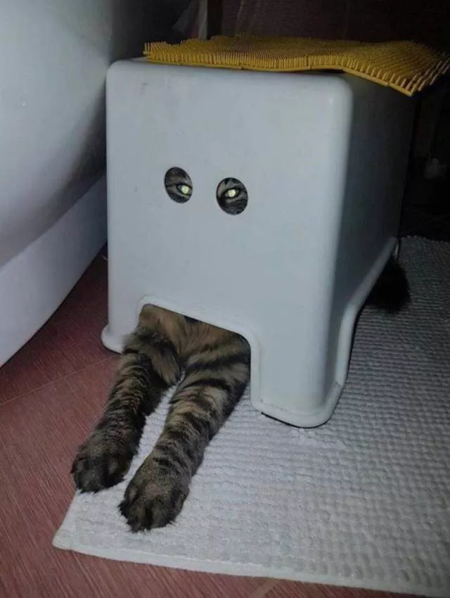 Picdump 438 - #52 