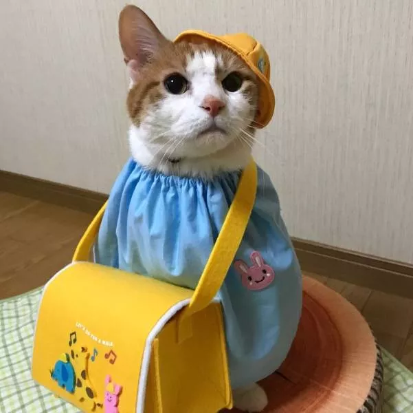 Picdump 438