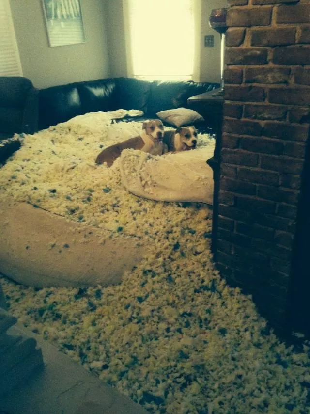 Picdump 438 - #67 