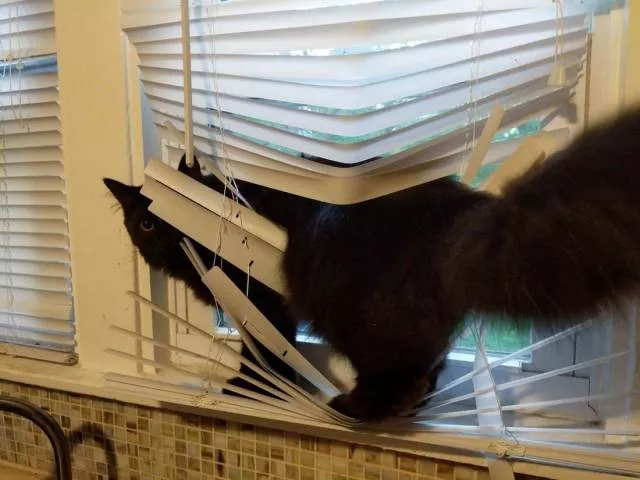 Picdump 438 - #7 