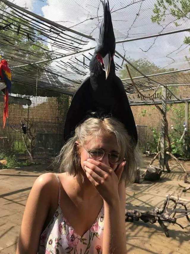 Picdump 438 - #74 