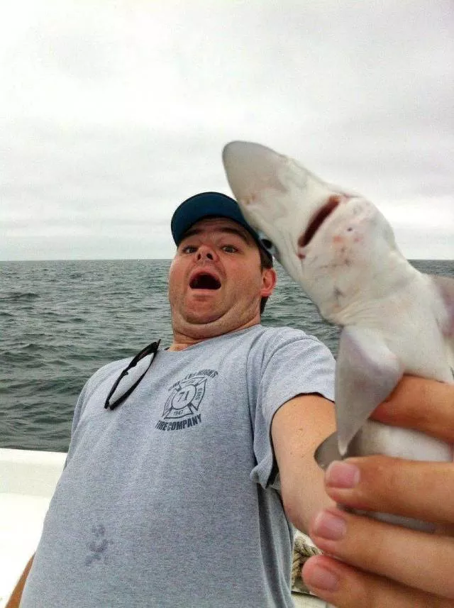 Picdump 438 - #82 