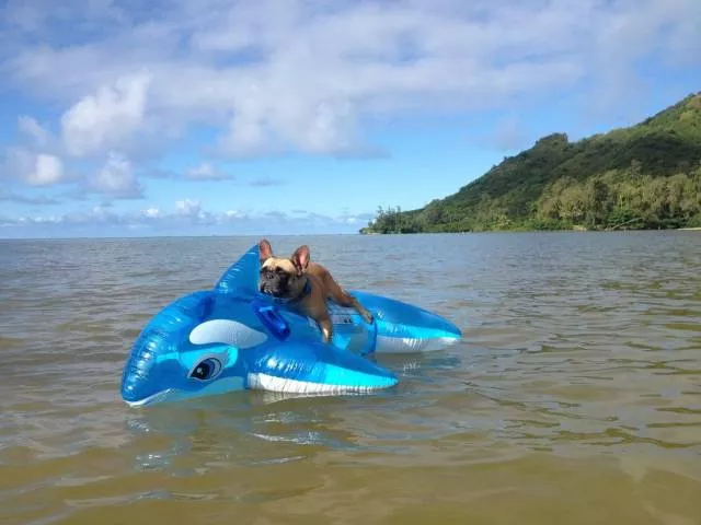 Picdump 438 - #84 