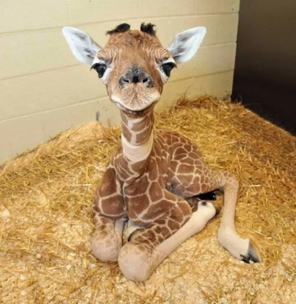 You will definitely share one of these wonderful pictures - #13 