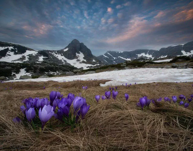 You will definitely share one of these wonderful pictures - #15 