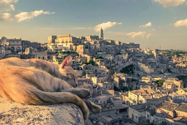You will definitely share one of these wonderful pictures - #19 