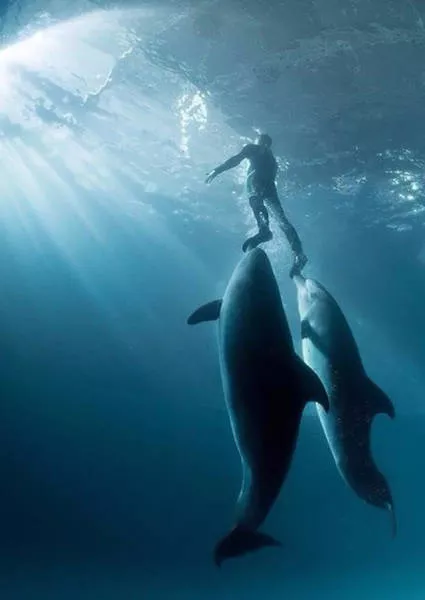 You will definitely share one of these wonderful pictures - #24 