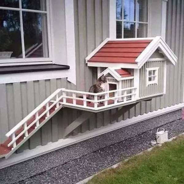 You will definitely share one of these wonderful pictures - #27 