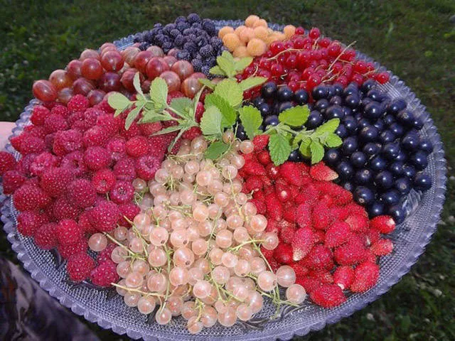 You will definitely share one of these wonderful pictures - #3 