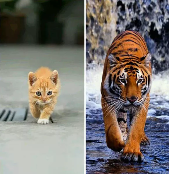 Do you really believe in coincidence - #14 