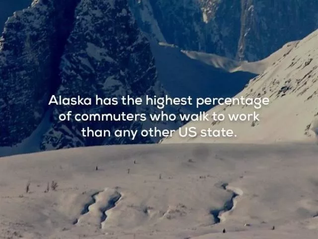 Patriotic facts about the usa - #1 
