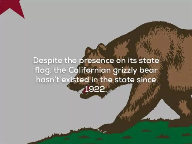 Faits patriotiques sur les etats unis - #20 