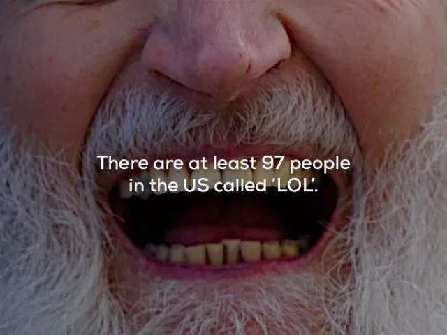 Patriotic facts about the usa - #5 