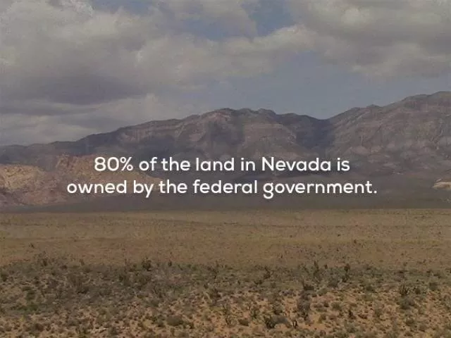 Patriotic facts about the usa - #8 