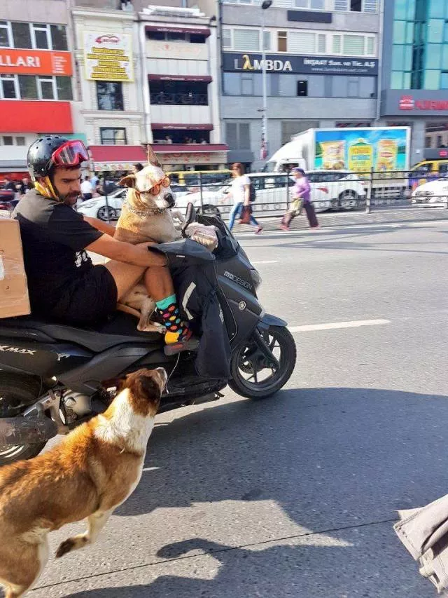 Picdump 441 - #14 