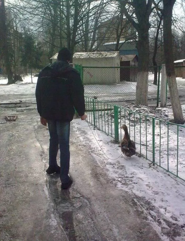 Picdump 441