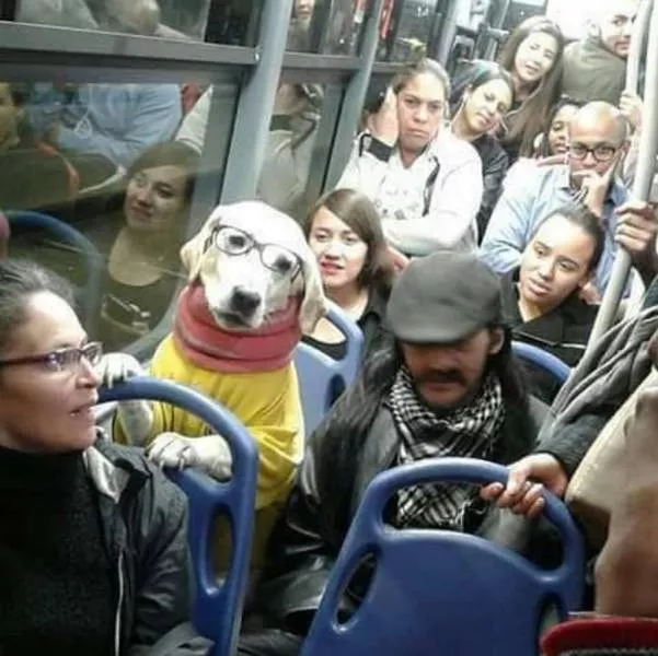 Picdump 441 - #24 