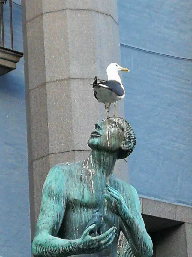 Picdump 441 - #44 