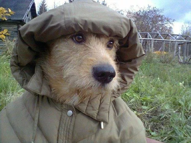 Picdump 441 - #55 