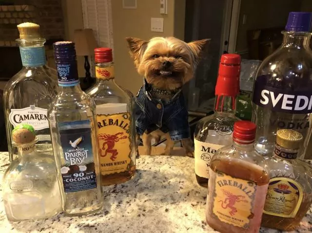 Picdump 441 - #9 