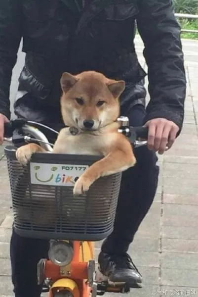 Picdump 74 - #25 