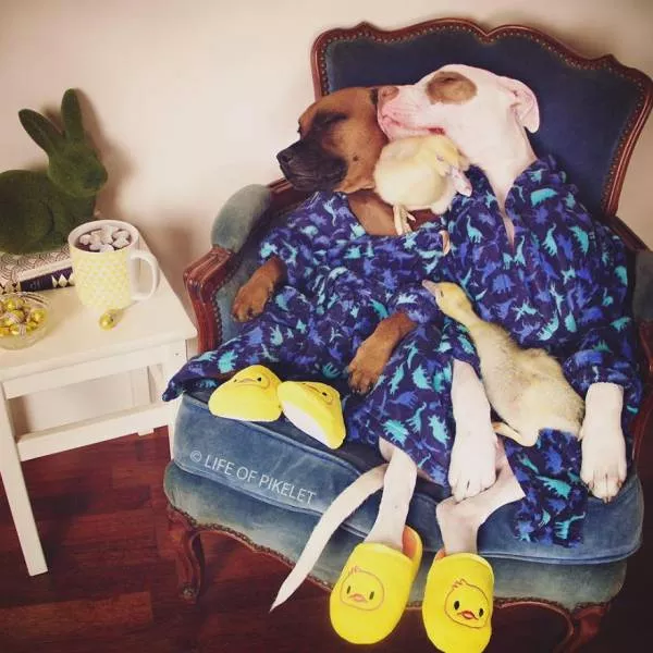 Picdump 74 - #38 