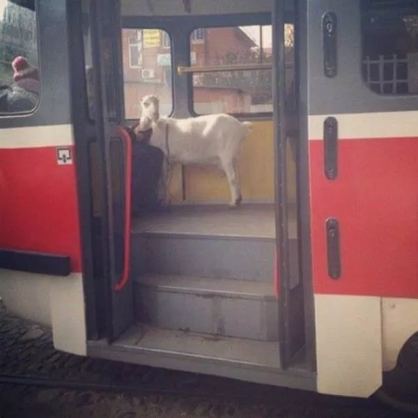 Picdump 74 - #71 