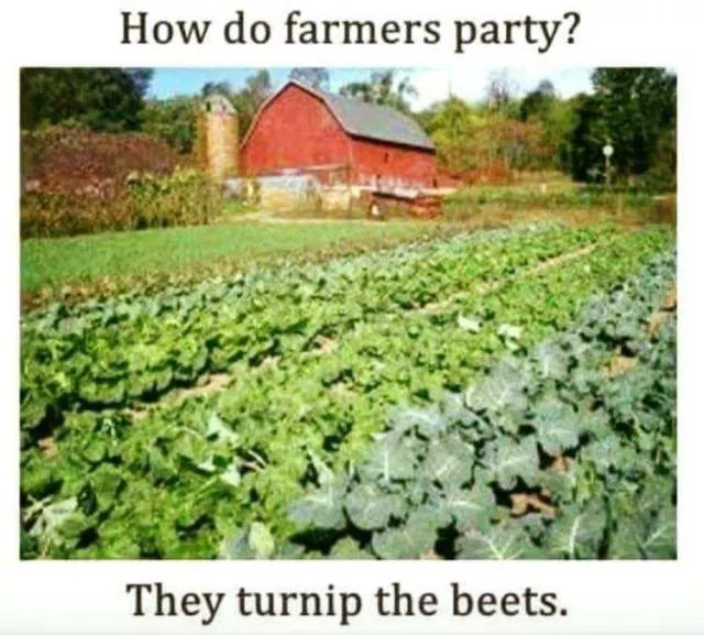 Punny humor - #14 